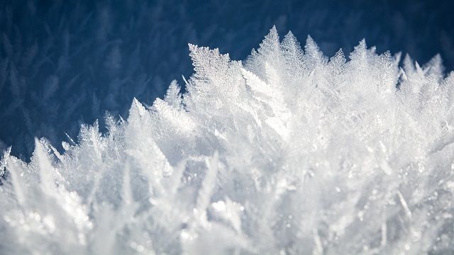 Экономику замедлили или переохладили? Заявления властей на ВЭФ