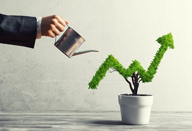 Акционеры Белуги одобрили дивиденды-2022 на уровне 400 рублей на акцию