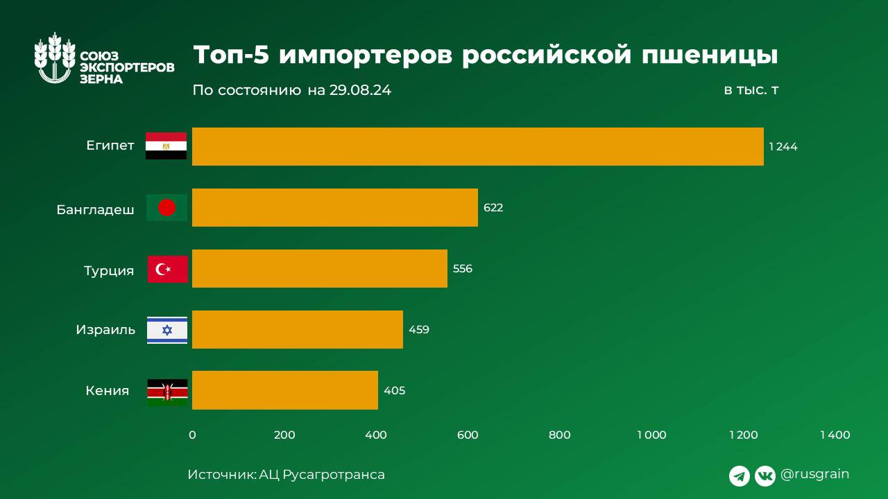 Египет лидирует в рейтинге импортеров российской пшеницы