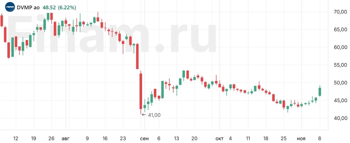 Акции ДВМП дорожают более чем на 6%