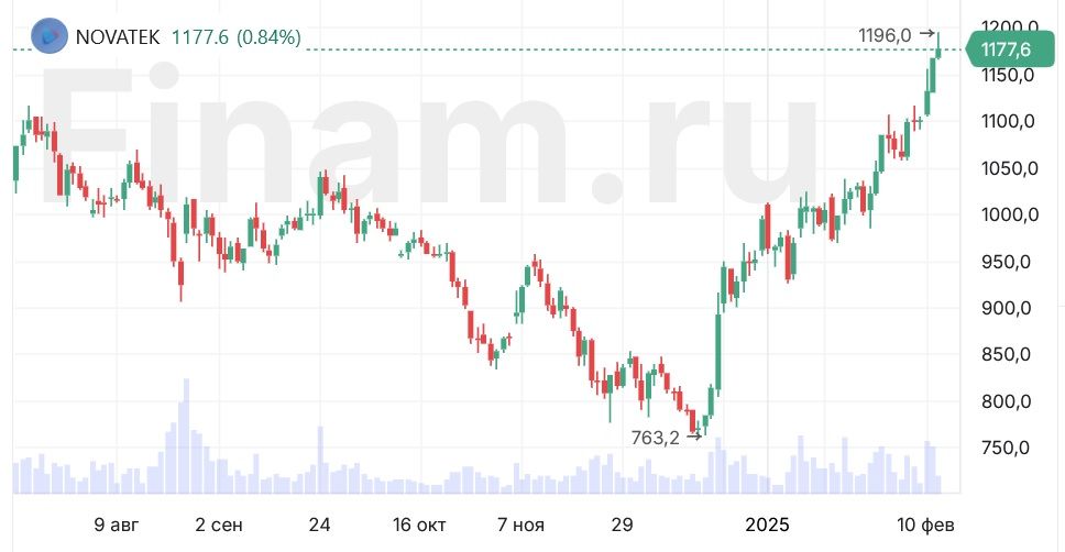 Чистая прибыль «НОВАТЭКа» по МСФО за 2024 год выросла на 6,6%