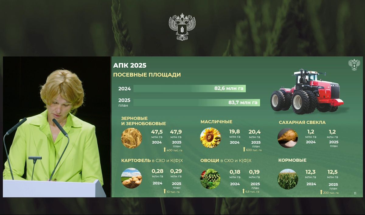 Инарктика